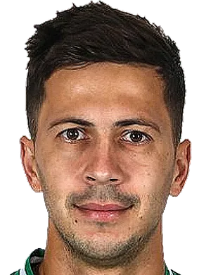 https://img.albiz.com.cn/img/football/player/a7521cae3d55835286cc258209d1ffee.png